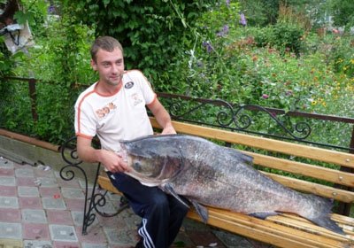Толстолобик 37 кг поймали в Тернополе