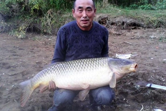 Карпа 24 кг поймал рыбак из Бурятии