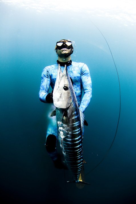 фото подводной охоты