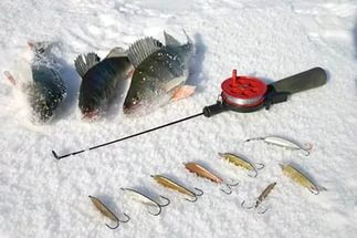 Как выбрать удилище для зимней рыбалки