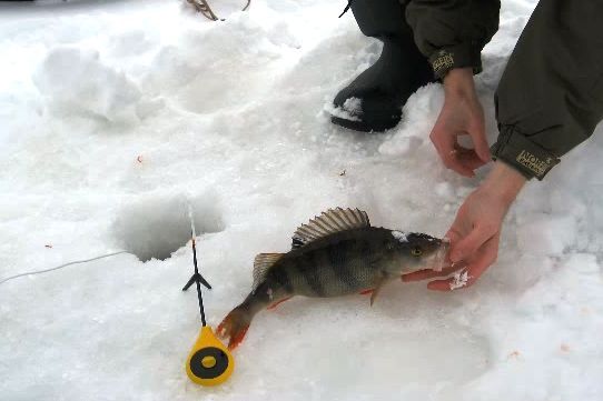 зимняя рыбалка на мормышку