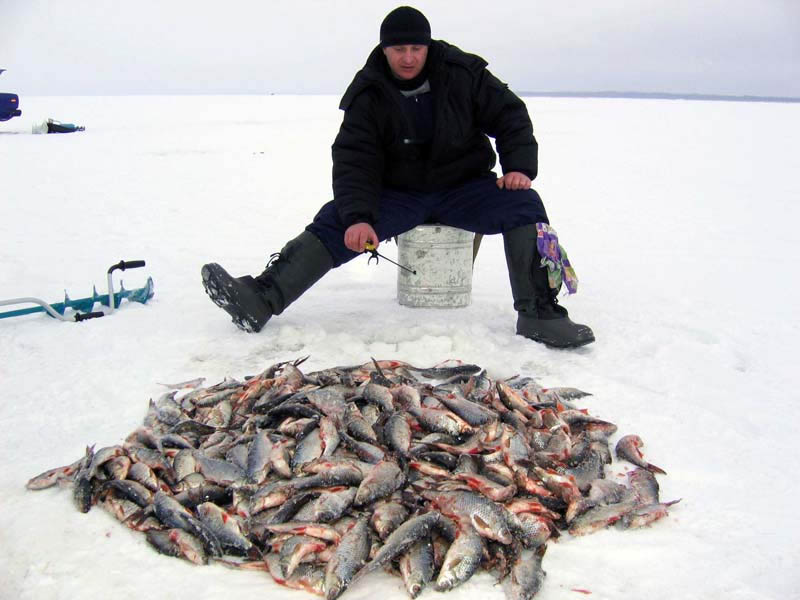 платная зимняя рыбалка
