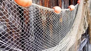 Как выбрать хорошую сеть для ловли рыбы