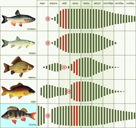 Календарь рыбака 2014