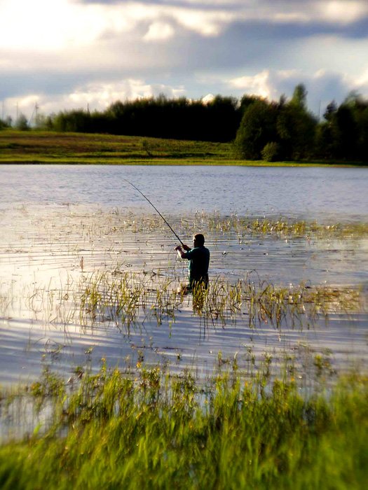 Рыбалка на озерах на поплавковую удочку: секреты успешного лова